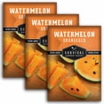 thumbnail image 1 of 3 Packs Orangeglo Watermelon Seeds - Non-GMO Heirloom Annual Full Sun Fruit, 1 of 6