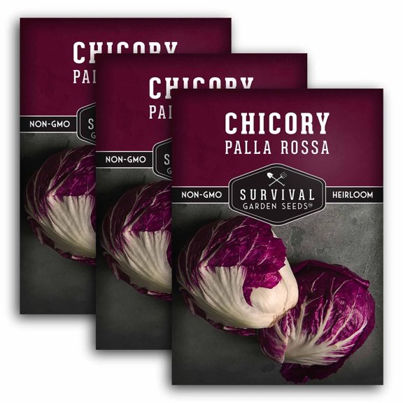3 Packs Palla Rossa Chicory Seeds - Non-GMO Heirloom Perennial Full Sun Vegetable