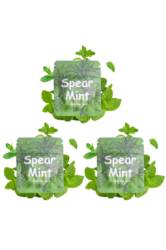 3 Packs of Plant-Based Spearmint Flavor Cores for Breathing Necklace to Break Habits Naturally | 9 Total Cores Fits Standard Necklace Diffusers for Anxiety Relief for Adults