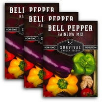 3 Packs Rainbow Bell Pepper Seeds Mix - Non-GMO Heirloom Full Sun Annual Vegetable