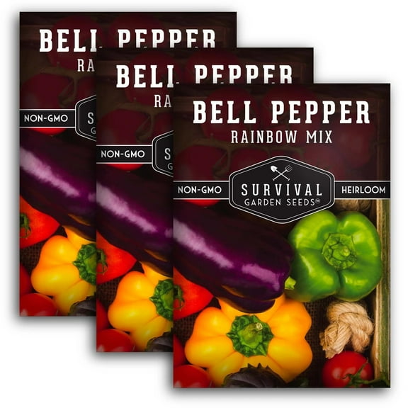 3 Packs Rainbow Bell Pepper Seeds Mix - Non-GMO Heirloom Full Sun Annual Vegetable