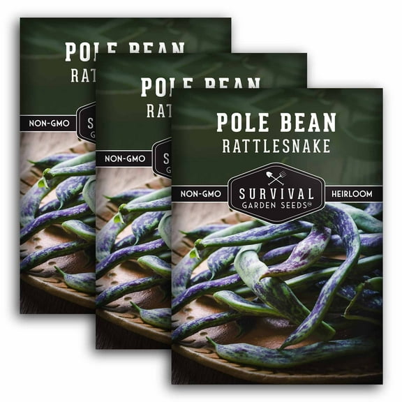 3 Packs Rattlesnake Bean Seeds - Non-GMO Heirloom Full Sun Annual Vegetable
