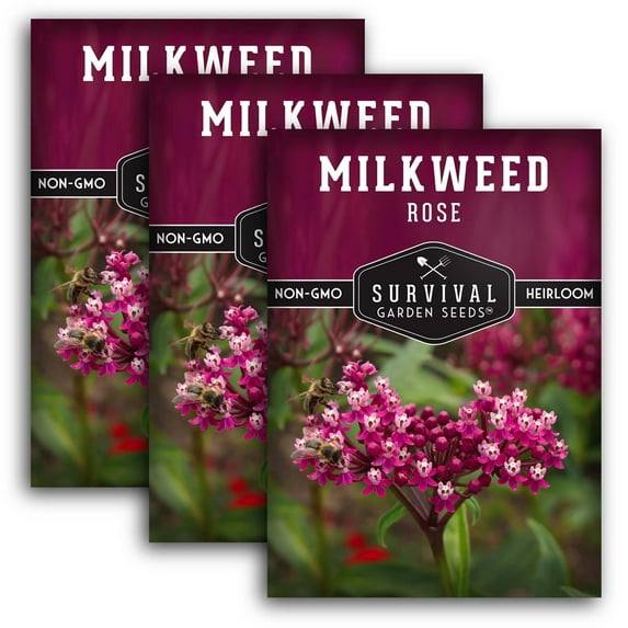 3 Packs Rose Milkweed Seeds for Planting - Non-GMO Heirloom Full Sun Perennial Flower