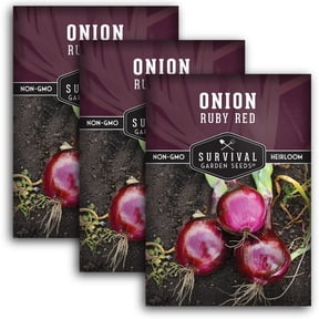 Ruby Red Long Day Onion Seeds -Biennial Full Sun Vegetable - 3 Packs