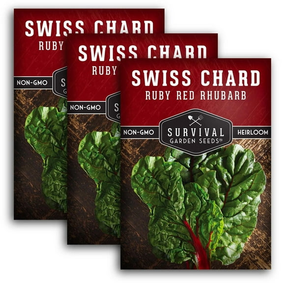 3 packs Ruby Red Rhubarb Swiss Chard Seeds - Non-GMO Heirloom Full Sun Annual Vegetable