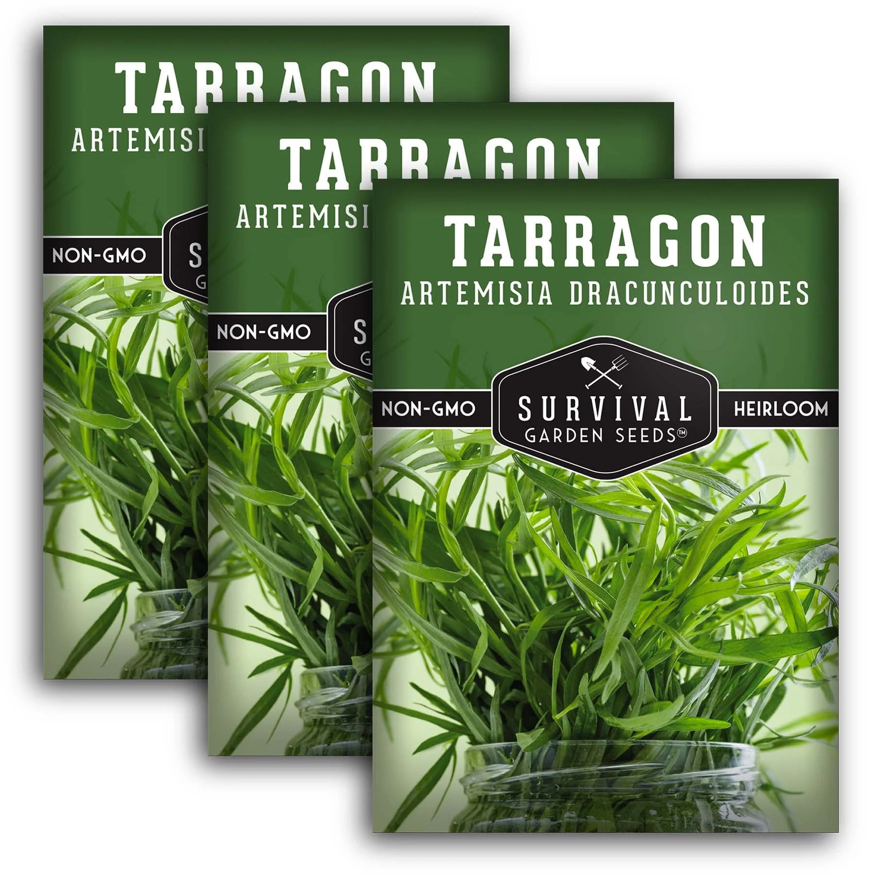 3 Packets Russian Tarragon Herb Seeds NonGMO, Heirloom & Full Sun by