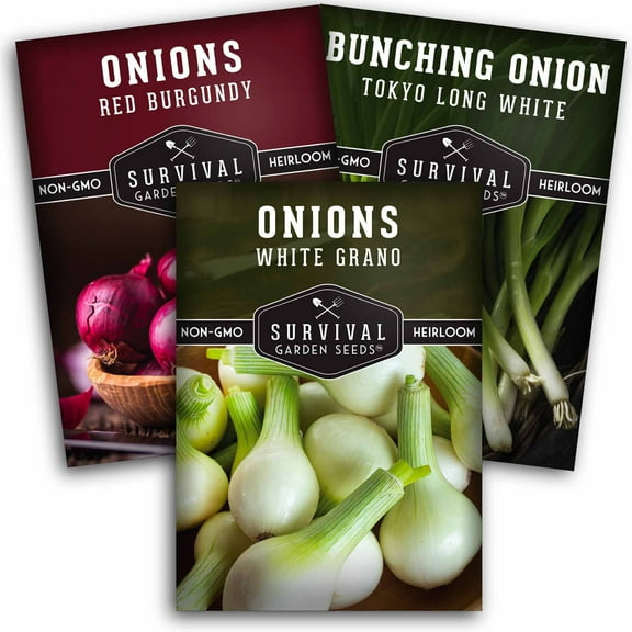 3 packs Short Day Onion Seed Collection - Full Sun Biennial Vegetable
