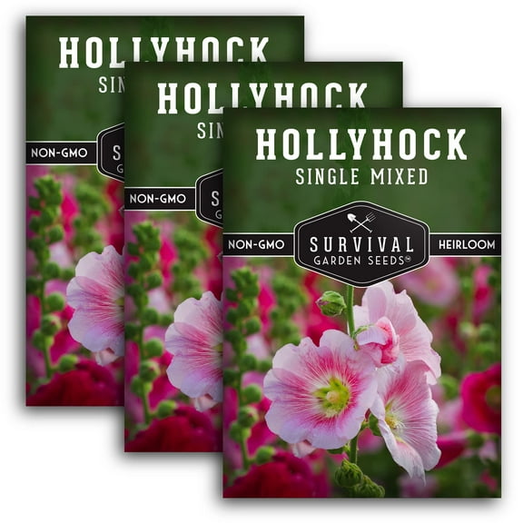 3 Packs Single Mixed Hollyhock Seed - Non-GMO Heirloom Full Sun Biennial Flower