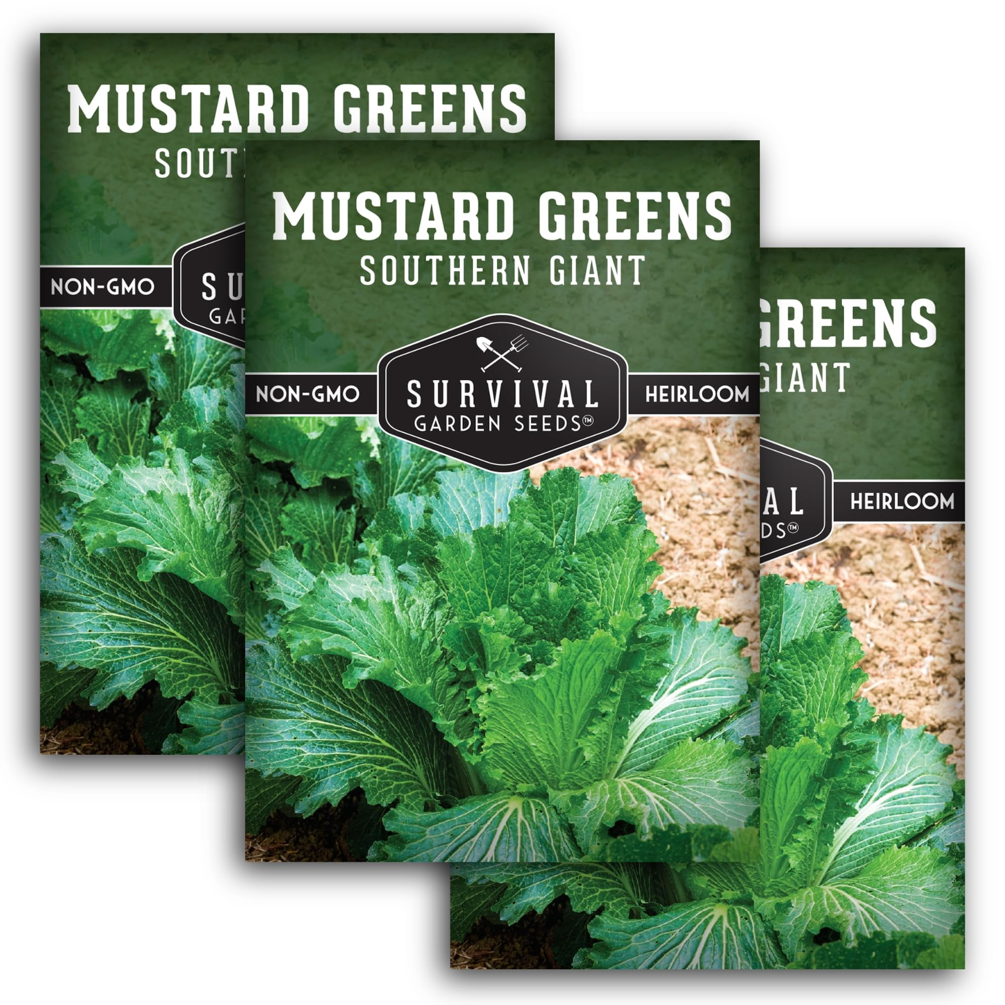 3 Packs Southern Giant Mustard Greens Seed for Planting Garden - Non ...