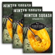 Spaghetti Winter Squash Vegetable Seeds 3 Pack - Full Sun Annual