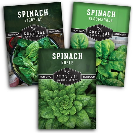 3 packs Spinach Seed Collection - Full Sun Annual Vegetable Seeds