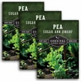 thumbnail image 1 of 3 Packs Sugar Ann Dwarf Pea Seeds for Planting - Sweet Snap Peas - Non-GMO Heirloom Annual Full Sun, 1 of 6