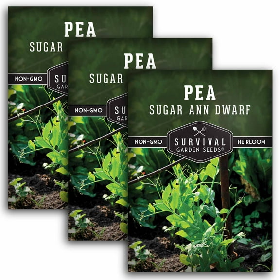 3 Packs Sugar Ann Dwarf Pea Seeds for Planting - Sweet Snap Peas - Non-GMO Heirloom Annual Full Sun