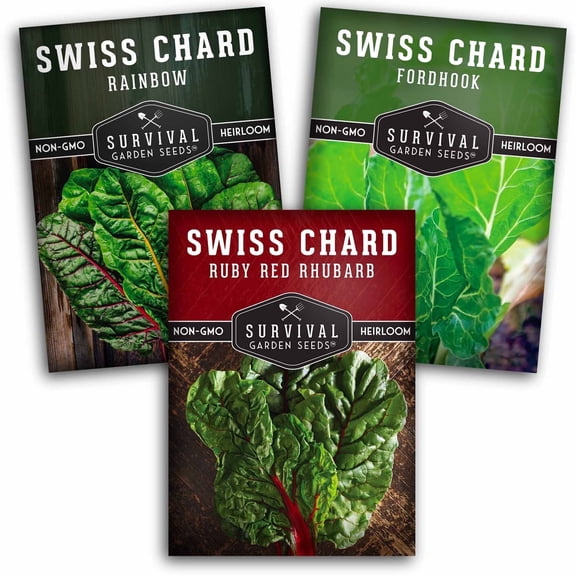3 Packs Swiss Chard Seeds - Full Sun Biennial Heirloom Vegetable