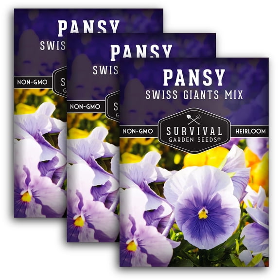 Swiss Giants Pansy - Full Sun Annual Flower - 3 Packs