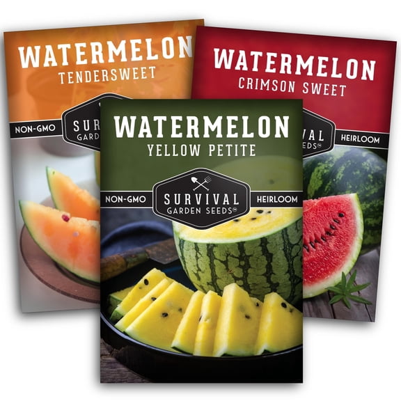 Watermelon Fruit Seeds 3 Color Pack - Yellow, Red, Orange - Full Sun Annual