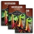 thumbnail image 1 of 3 packs Victoria Rhubarb Seeds - Non-GMO Heirloom Full Sun Perennial Vegetable, 1 of 9