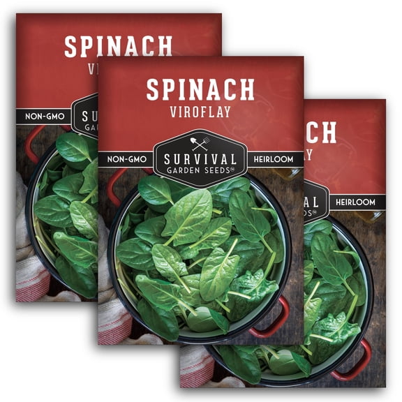 3 Packs Viroflay Spinach - Non-GMO Heirloom Vegetable Seeds - Full Sun Annual