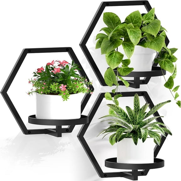 3 Packs Wall Planters for Indoor Plants, 7.9inch Metal Plant Holder Hanger Wall Decor, Mounted Hanging Window Shelves Outdoor Rack (Black)