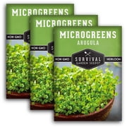 Arugula Microgreens Sprouting Seeds - Partial Sun Annual Vegetable - 3 Packs