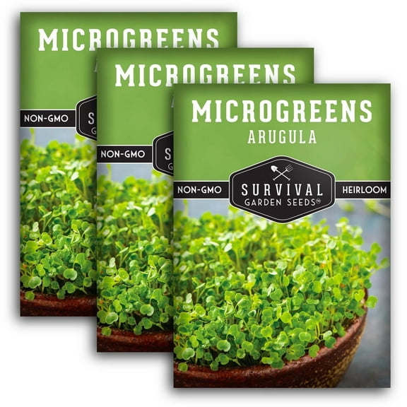 3 Packs of Arugula Seeds for Microgreens - Non-GMO Heirloom Full Sun Annual Vegetable