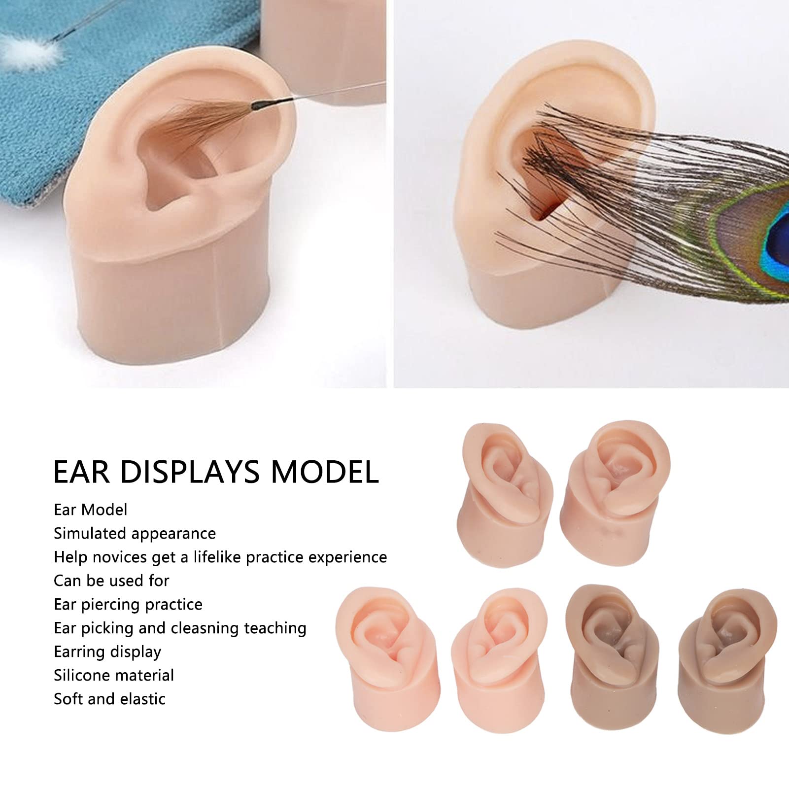 3 Pair Fake Ear, Silicone Ear, Human Ear Model 3D Educational Models ...
