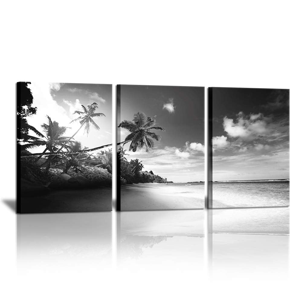 3 Panels Black and White Beach Canvas Wall Art Pictures Hawaii Troical