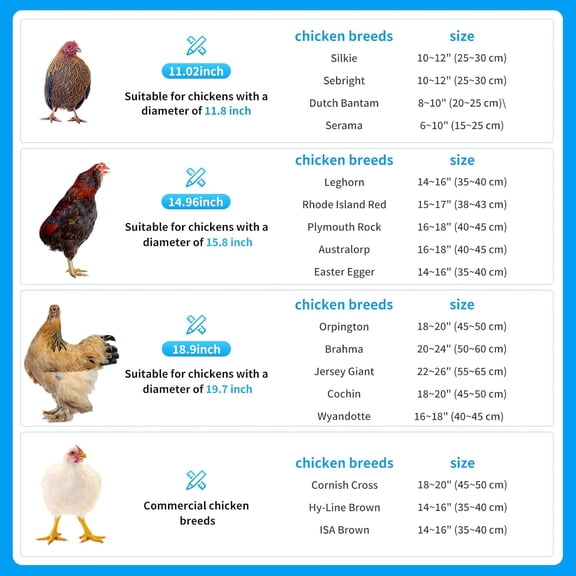 3 Pcs 15 Inch Yellow Ball Chicken Animals Cage