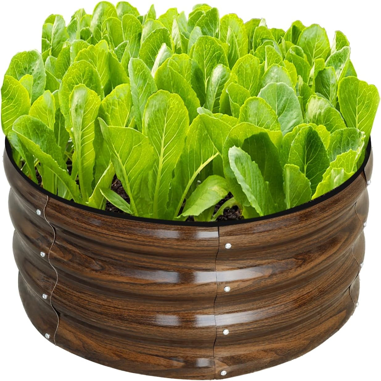 3 Pcs 2x2x1ft Round Galvanized Raised Garden Bed Kit Outdoor, Metal Planter Box for Planting Plants Vegetables, Brown