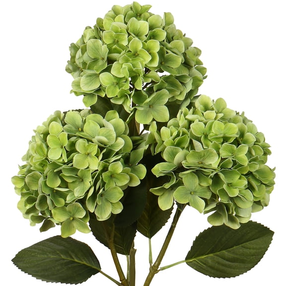 3 Pcs Artificial Hydrangeas Silk Flowers 26 inch Long Stem Fake Flowers Floral Hydrangea Bouquet Green