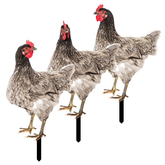 3 Pcs Chicken Holder Colorful Hen Stake Daily Garden Decor 14.1X23.7CM