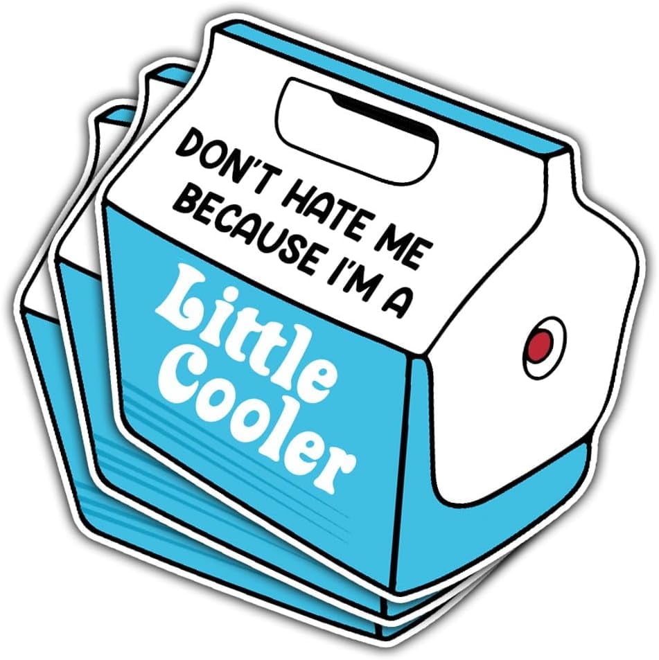 3 Pcs Dont Hate Me Because Im a Little Cooler Sticker, Funny Little ...