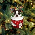 thumbnail image 1 of 3 Pcs Funny Dog Stocking under $5! Xqxayjr Dog Christmas Tree Ornaments Set, Funny Canine Themed Decor, Pet Lover Holiday Gift, Christmas Stocking Pendants, Cute Doggie Xmas Tree Decorations, 1 of 2