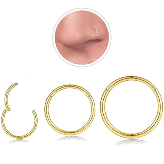 3 Pcs Hoop Nose Rings,20G Steel Hinged Nose Rings for Women Men, Nose Ring Hoop,Septum Rings,Cartilage Lip Rings,Body Piercing Jewelry, Gold(6mm+8mm+10mm)