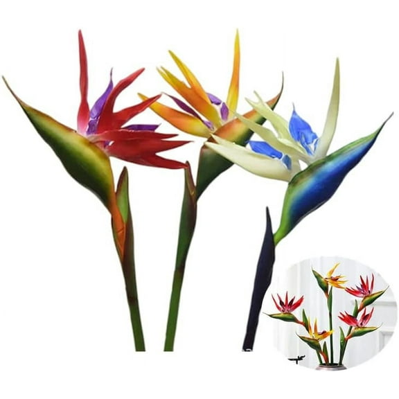 3 Pcs Large Bird of Paradise 31 Inch Permanent Flower,No Fade Flower Part is Made of Soft Rubber PU,Artificial Flower Plants for Home Office,Flower Stem 0.3"