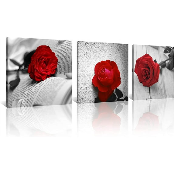 3 Pcs Modern Canvas Painting Black and White Red Rose Canvas Art Abstract Wall Art Decorations Flower Picture on Canvas for Home Decor(16X16inchX3Pcs, B-Rose)