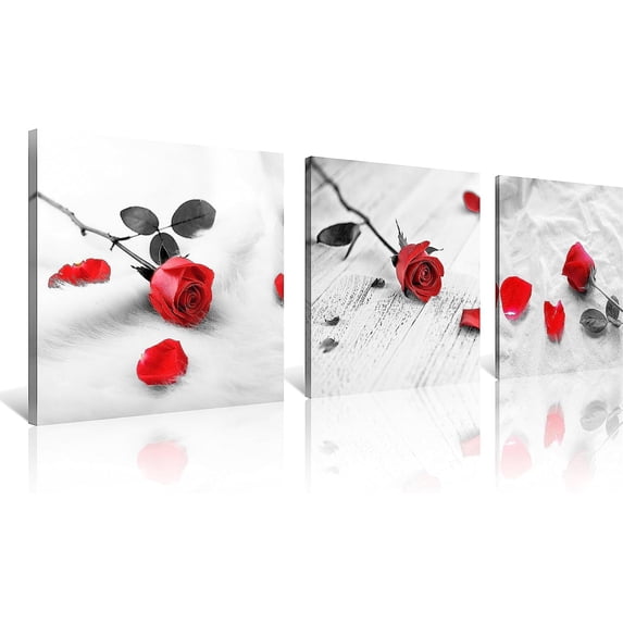 3 Pcs Modern Canvas Painting Black and White Red Rose Canvas Art Painting Abstract Wall Art Decorations Flower Picture on Canvas for Home Decor(14X14inchX3Pcs, C-Rose)
