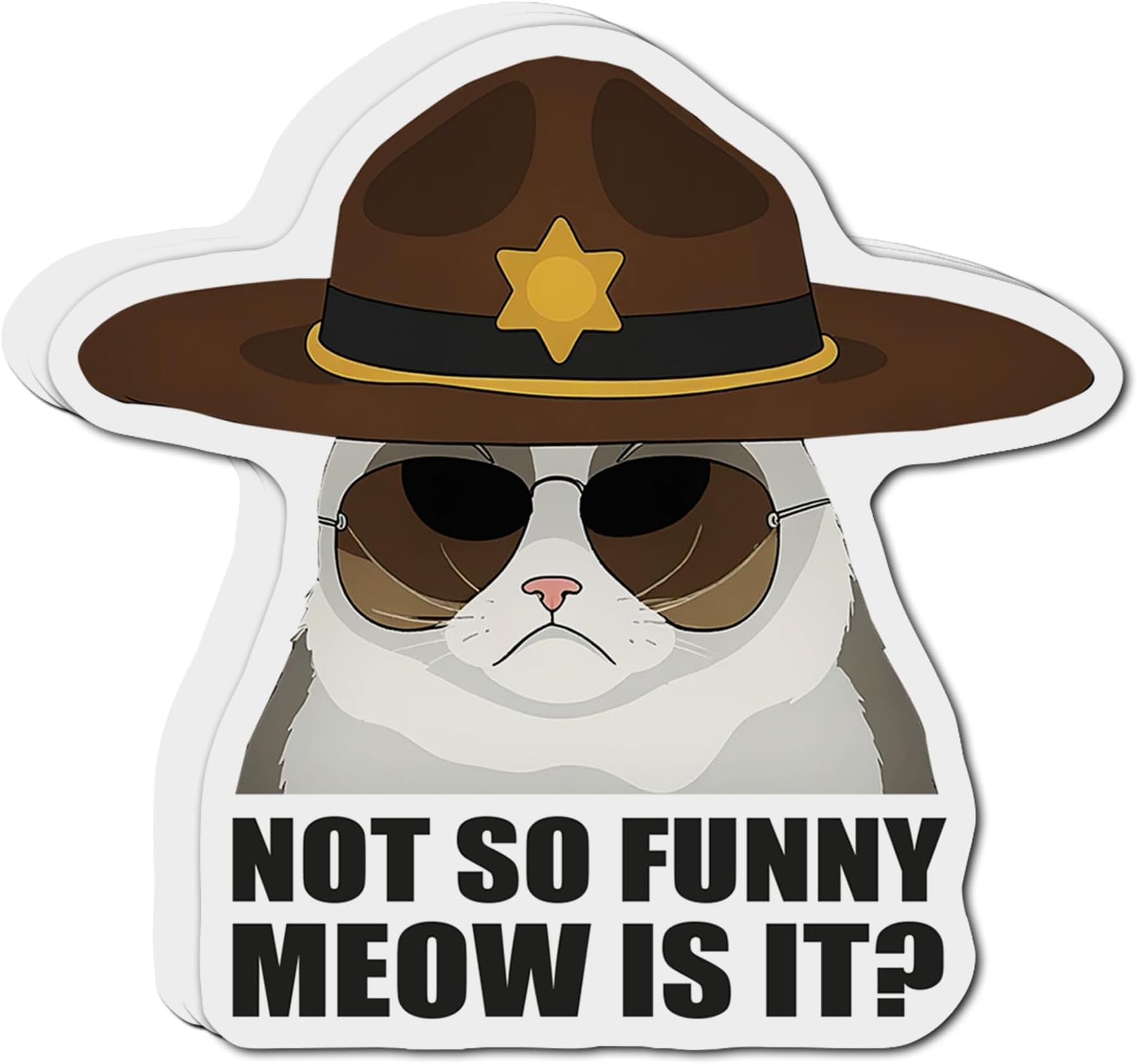 Stickers Bulk 300 PCS Meme Sticker Pack - Funny Vinyl Waterproof Stickers  For Laptops, Phones & Cars Funny Vinyl Stickers Pack