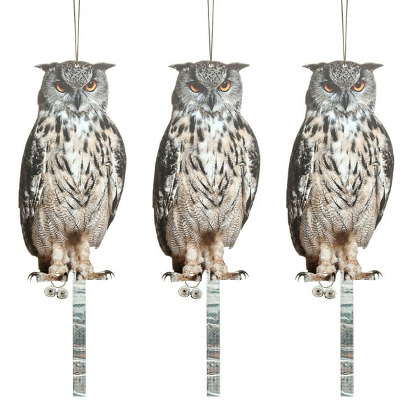 3 Pcs Owl to Keep Birds Away 2Pack Reflective Bird Scarer Devices Reflective Owl Hanging Decoration Dual-Side Printed Raster Fake Eagle for Garden Patio Windows Farm