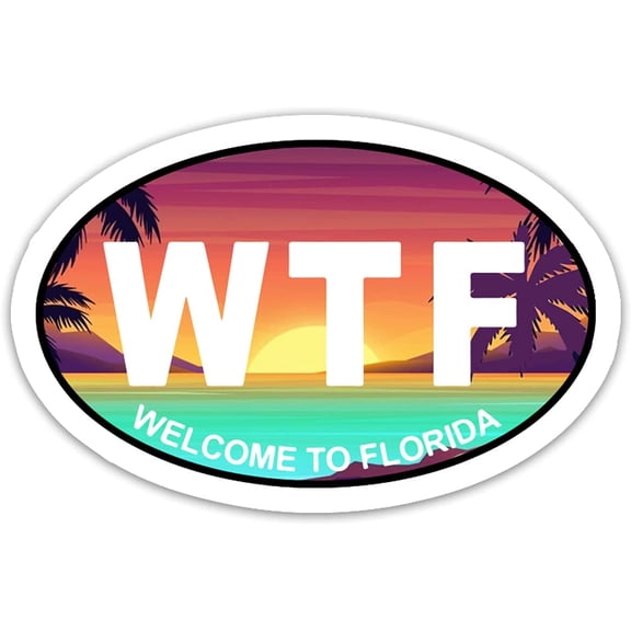 3 Pcs/Pack - WTF Welcome to Florida Sticker Funny Florida Man Sunshine State Sticker for Laptop Water Bottle Car Bumper Helmet Tablet Phone Window Sticker 3"x4" A1-29062122