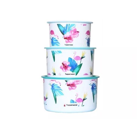 Tupperware 3 Pcs Printed OTT Container Set In 3 Sizes 2 Ltr,1.4 Ltr,950 ML White Color Food Storage Boxes