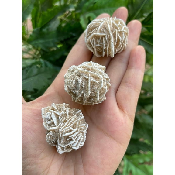 3 Pcs Raw Desert Rose Crystals, Natural Desert Rose Stone, Natural Rough Desert Rose crystals, Desert Rose Rough, Desert Rose Healing Crystals (Desert Rose)