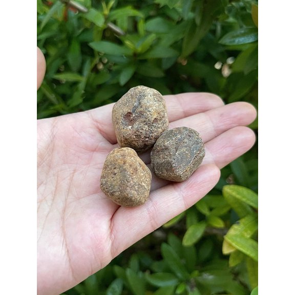 3 Pcs Raw Garnet Crystals, Natural Garnet Stone, Natural Rough Garnet crystals, Garnet Rough, Garnet Healing Crystals (Garnet)