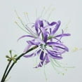 thumbnail image 1 of 3 Pcs Red Spider Lilies Artificial Flowers Lycoris Bulbs with Stem for Home Office Hotel Living Room Decoration,26 inch Long, 1 of 1