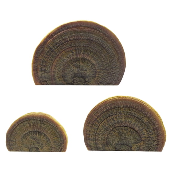 HOOWIFFY Floating Wall Shelf For Tree Decor 3Pcs