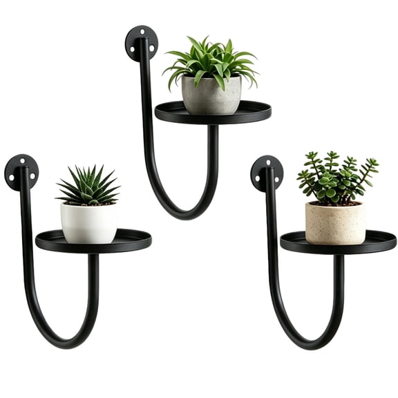 3 Pcs Wall Plant Holder, 10.1 in Hanging Plant Holder with 5.5 in Tray, Black Metal Wall Planter for Indoor Plants, Small Flower Pot Hanger for Window Living Room Home Office Decor
