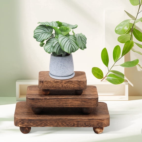 3 Pcs Wood Riser Square Wood Pedestal Stand Modern and Stylish