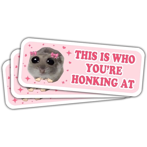 3 Pcs This is Who You are Honking at Sad Hamster Bumper Sticker, Please Don't Honk This is Me Pink Meme Sticker - Vinyl Decal 5 inches for Water Bottles Laptop Phone Car Helmet
