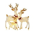 thumbnail image 1 of 3-Piece 2D Lighted Christmas Deer Family Set -Large Outdoor Yard Reindeer Holiday Decoration with 145 LED Lights, Stakes, Acrylic - Gold, 1 of 6