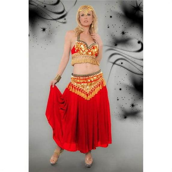 3 Piece Belly Dancer Costume Set, Red - Medium & Large